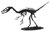 3D Paper model - Dromaeosaurus