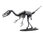 3D Paper model - Dromaeosaurus