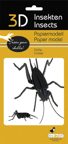 3D Paper model - Cricket