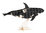 3D Papiermodell - Orca