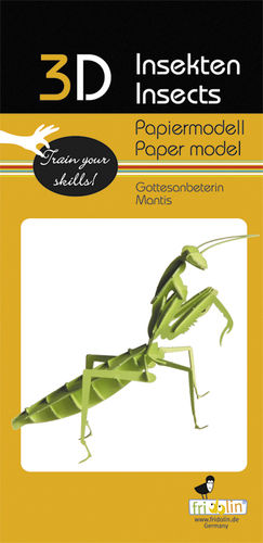 3D Paper model - Mantis