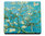 Untersetzer, Vincent van Gogh, Mandelblüte, Druck auf MDF
