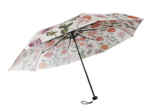 Regenschirm "Maria Sibylla Merian"
