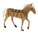 3D Paper model - Haflinger horse